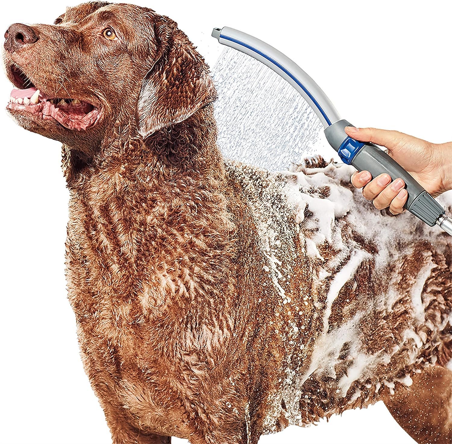 Dog Shower Sprayer with 8ft Hose