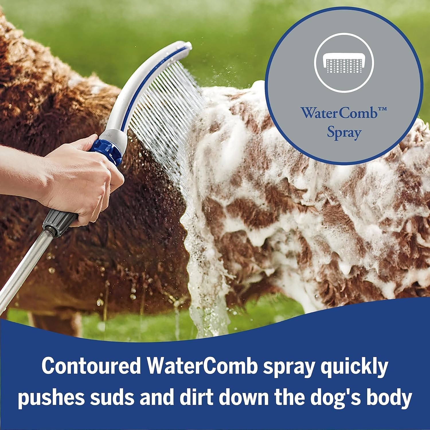 Dog Shower Sprayer with 8ft Hose - Image 4